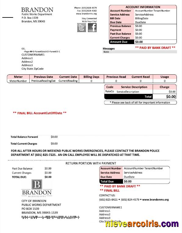 USA BRANDON MISSISSIPPI utility bill